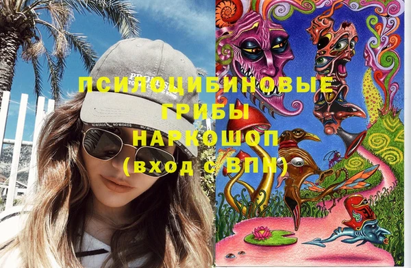ПСИЛОЦИБИНОВЫЕ ГРИБЫ Балабаново