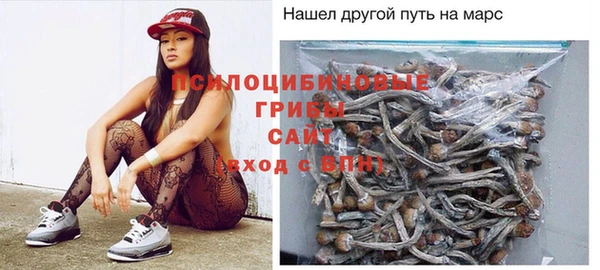 ПСИЛОЦИБИНОВЫЕ ГРИБЫ Балабаново