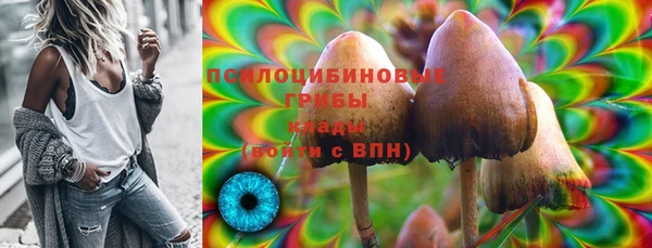 ПСИЛОЦИБИНОВЫЕ ГРИБЫ Балабаново