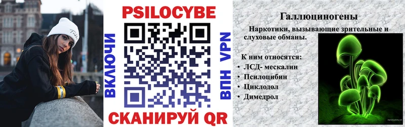 где продают наркотики  Луховицы  Галлюциногенные грибы Cubensis 